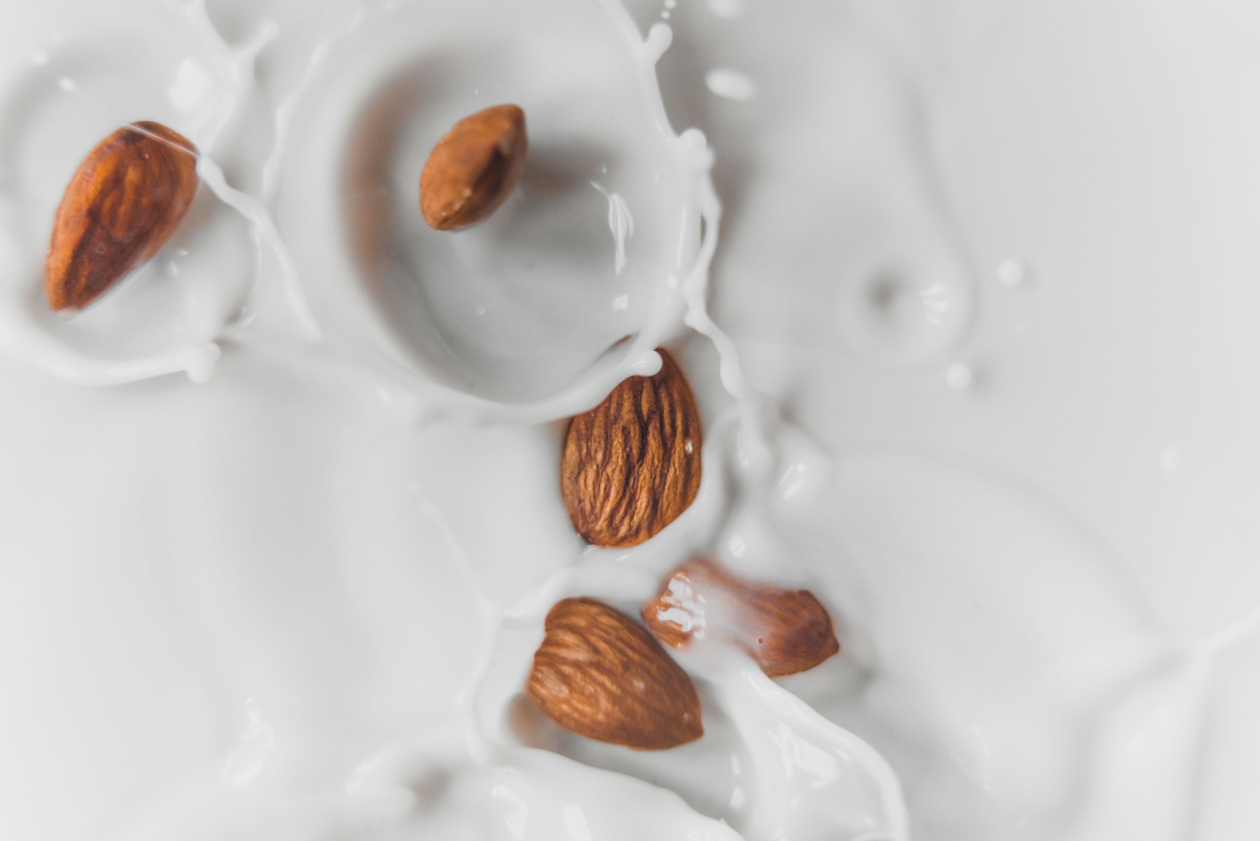 Homemade Almond Milk